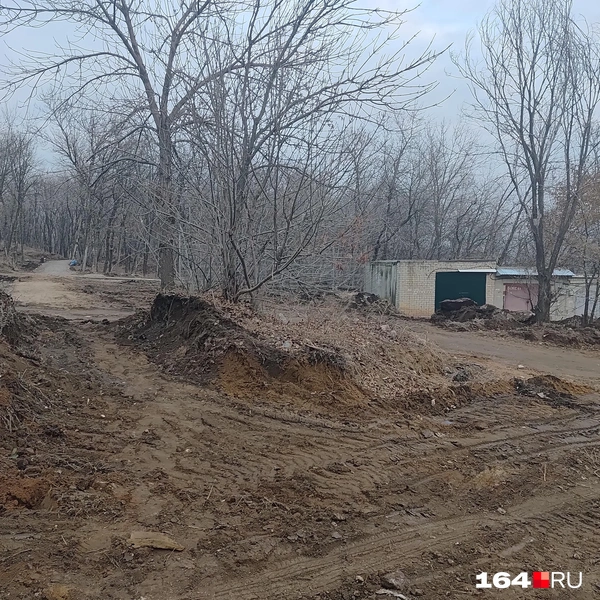 Источник: Сергей Гендин / 164.RU