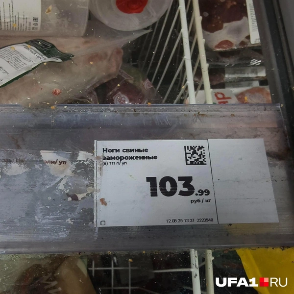 Источник: Булат Салихов / UFA1.RU