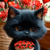 userpic__Влaда