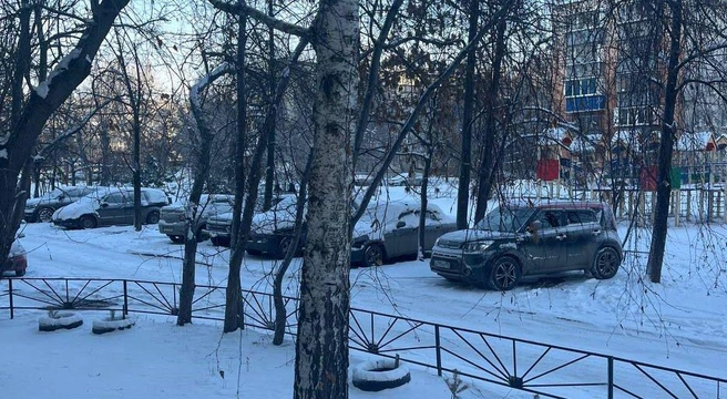 Автомобили запаркованы между деревьями | Источник: читатель 74.RU