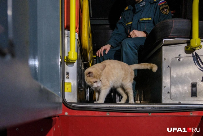 Машина проверена, можете выезжать | Источник: Булат Салихов / UFA1.RU