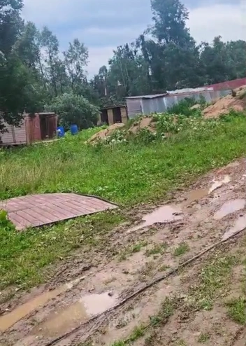 Хозяева приюта занимаются восстановлением  | Источник: Murzik_shariki / T.me