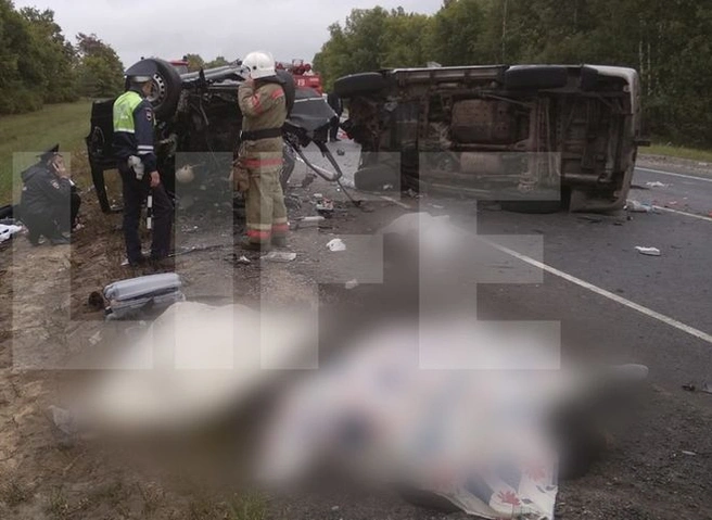 Опубликовано видео с места смертельной аварии в Сасовском районе | ya62.ru