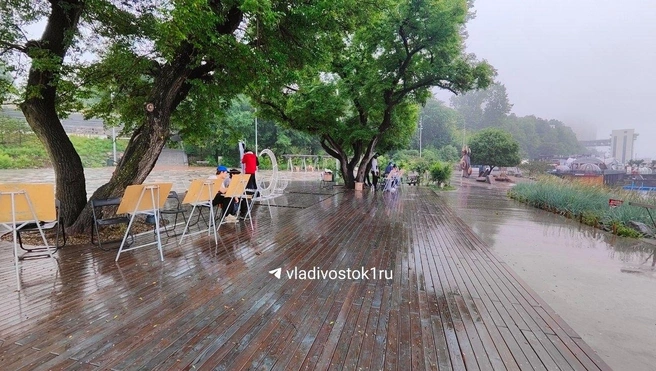 Источник: Татьяна Акишина / VLADIVOSTOK1.RU