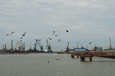 Рыба из Азовского моря стала безопаснее