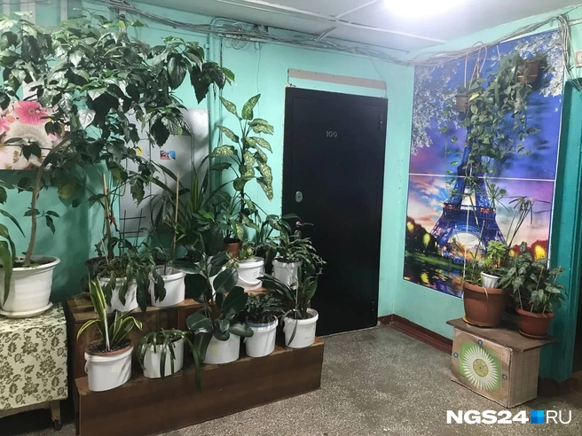 Красивый здесь только первый этаж | Источник: Дмитрий Мамаев / NGS24.RU