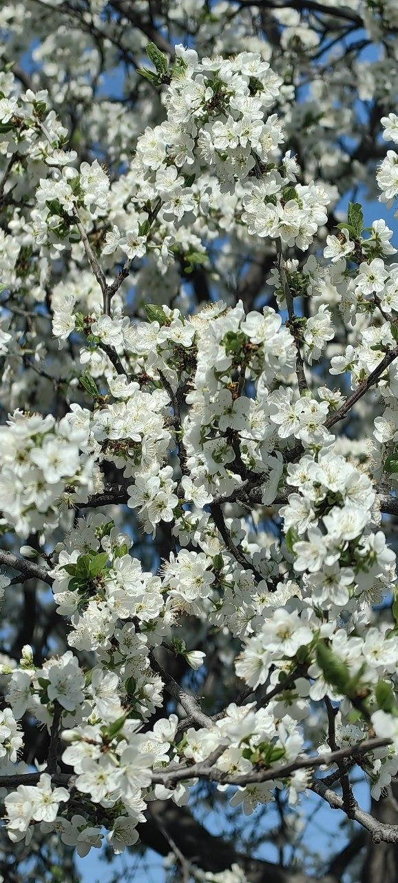 Источник: Olza.Foto