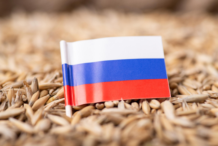 Миру предрекают массовый голод из-за санкций. Хватит ли еды россиянам?