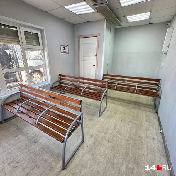 Три скамейки | Источник: Илья Константинов / 14.RU