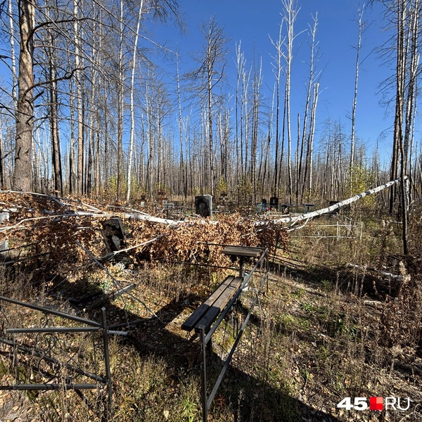 Источник: Кирилл Митин