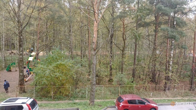 Изотовский сквер | Источник: читательница «Фонтанки» Яна