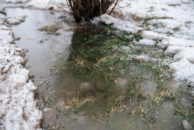 Потепление в Алтайском крае после морозов и метели