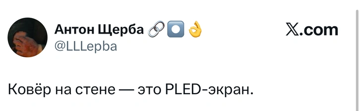 Источник: X (Twitter)