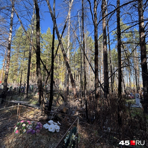 Источник: Кирилл Митин