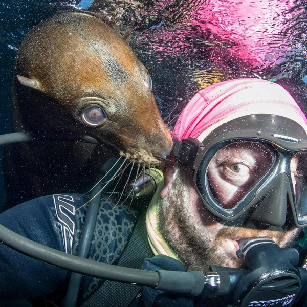 «Расскажу тебе большой секрет на ушко» | Источник: Will Clark / British Photography Awards 2021