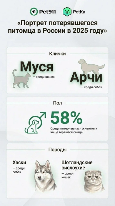 Источник: Всероссийская система защиты животных Pet911