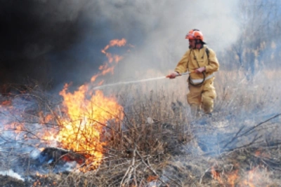 Первые лесные пожары зафиксированы в Хабаровском крае