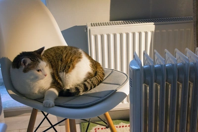 Жители Ростова возмущены крупными платежами за отопление