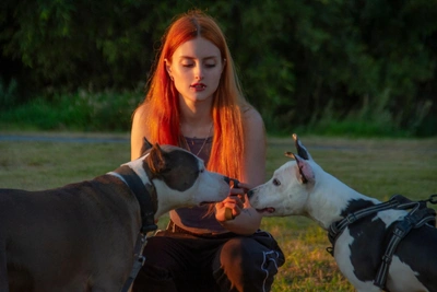 Yugra Woman Seeks Homes for Rescued Animals in Overcrowded Shelter