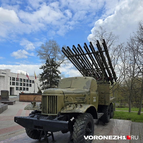 Источник: Ирина Булгакова / Voronezh1.ru