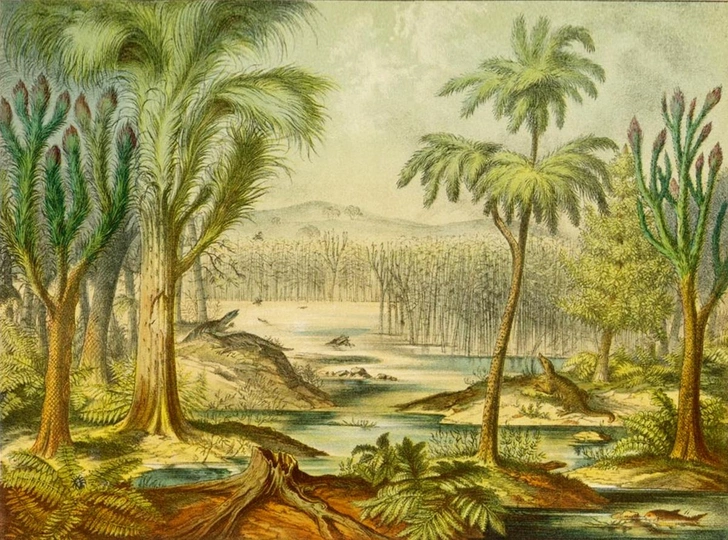 Экспансия из рая: как и зачем земная жизнь покинула океан | Источник: Mary Evans Picture Library / Alamy