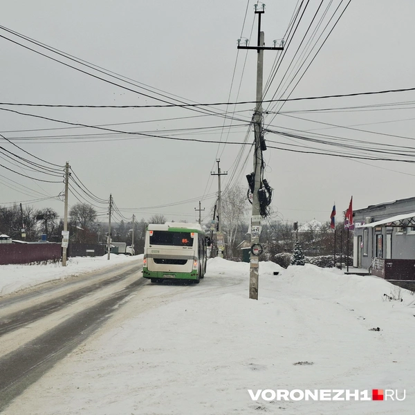 Источник: Алёна Воропаева / Voronezh1.ru