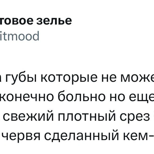 Источник: X (Twitter)