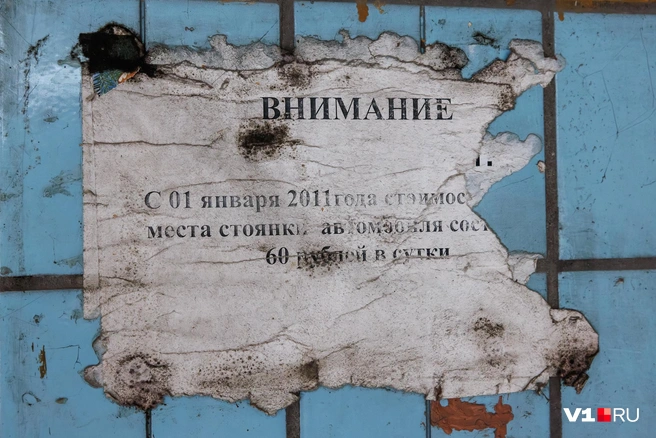 Ради платной парковки гораздо проще вырубить взрослые деревья, чем восстановить предназначенное для нее уникальное здание | Источник: Алексей Волхонский / V1.RU