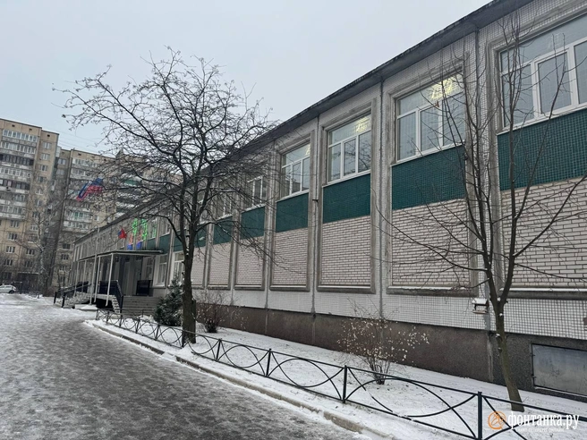 Источник: Ирина Лысак / «Фонтанка.ру»