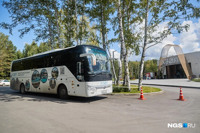 До «Хвои» ходит автобус | Источник: Александр Ощепков / NGS.RU