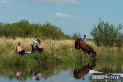 В Приамурье 23 июня ожидается до +31°