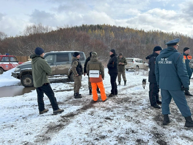 Поиски не останавливаются | Источник: Алексей Тайганавт / NGS24.RU