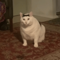 Аватарка Rita