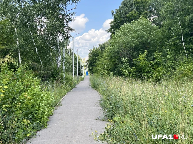 Колчак был бы доволен | Источник: Андрей Бирюков / UFA1.RU