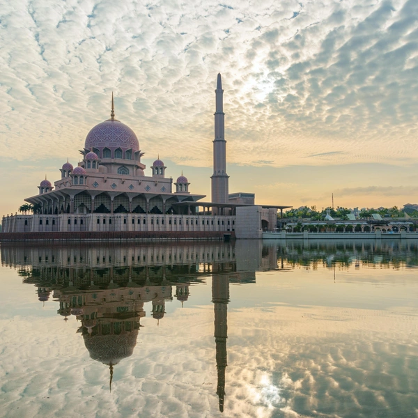 Источник: Efired/Shutterstock/Fotodom.ru