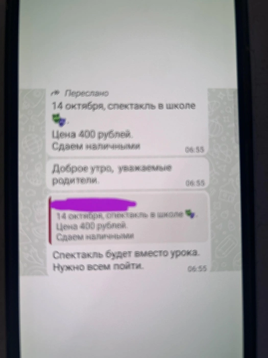 Скриншот из родительского чата | Источник: Поборы в школах и детсадах / Vk.com