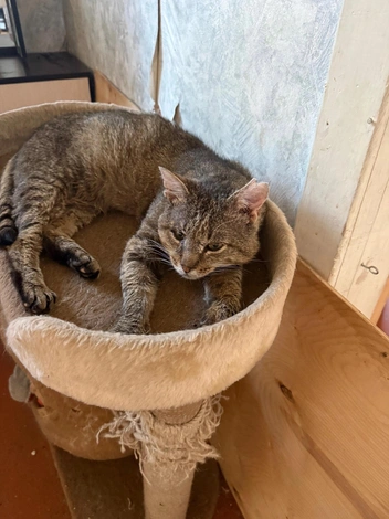 Источник: Татьяна Никулина