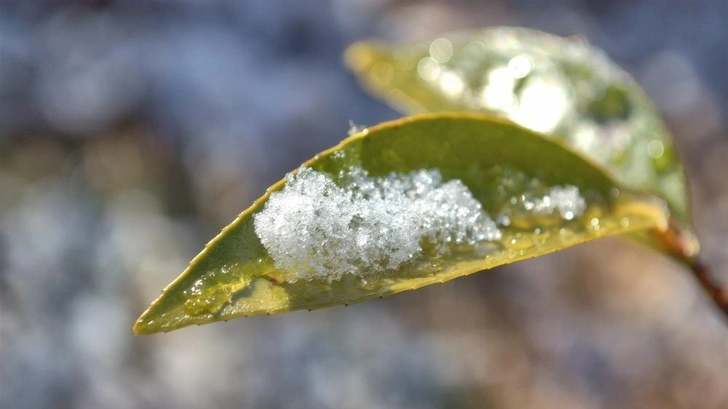 И самая долгая зима не бывает вечной: что означает выражение «до талого» и откуда оно пошло | Источник: makineko/Shutterstock/Fotodom.ru