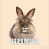 userpic__2Pastel_Ghost8