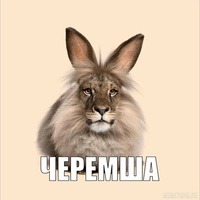 Аватарка 2Pastel_Ghost8