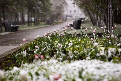 Весеннее равноденствие: кому повезет 20 марта, а кому стоит притормозить