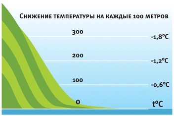 Как производят вина и какими они бывают: краткий гид с картинками