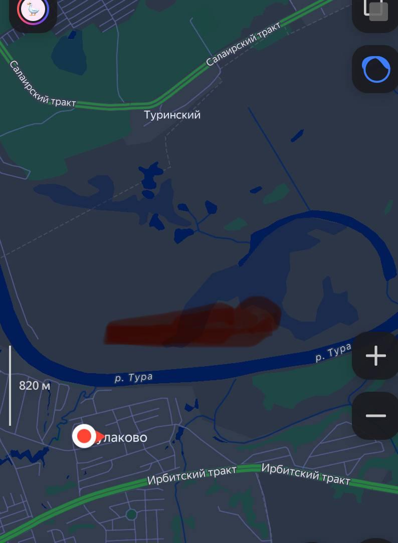 Пожар под Тюменью сняли с высоты 