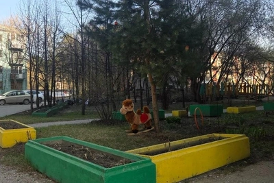 Новосибирцы спорят: плюшевые игрушки на клумбах — милота или уныние