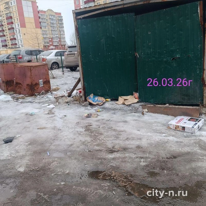 Источник: city-n.ru