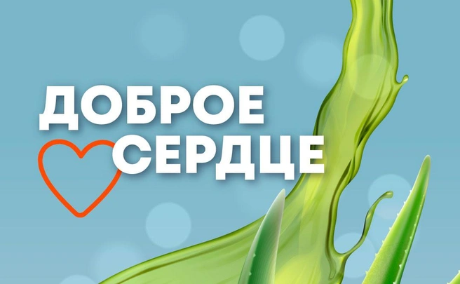 В двух столицах проходит благотворительная акция в поддержку пострадавших в ДТП | www.fontanka.ru