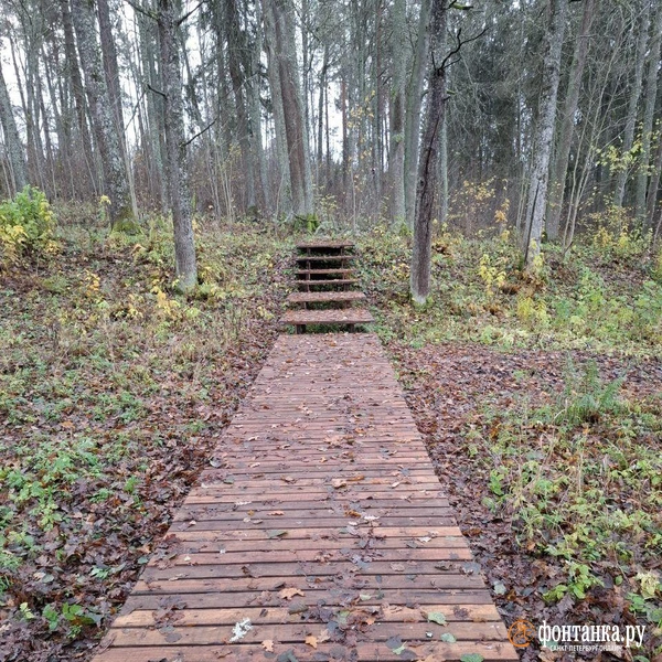 Источник: Ирина Багликова / «Фонтанка.ру»