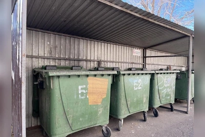 В Ксеньевке навели порядок с мусором после сигнала президенту