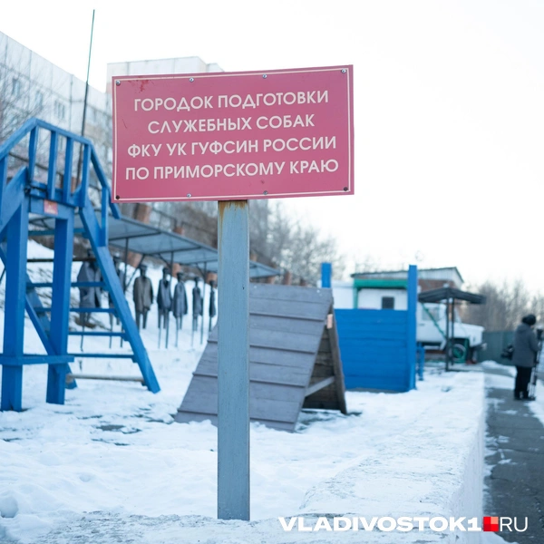Источник: Елена Буйвол / VLADIVOSTOK1.RU