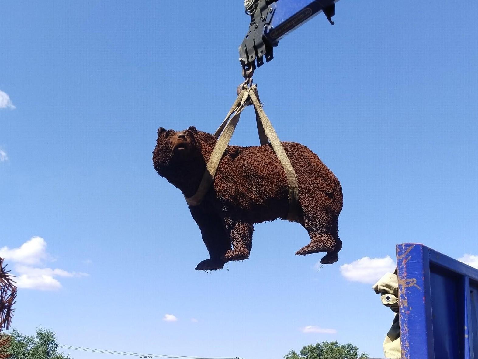 В Волгограде заметили «летающего» медведя. Показываем, куда он приземлился